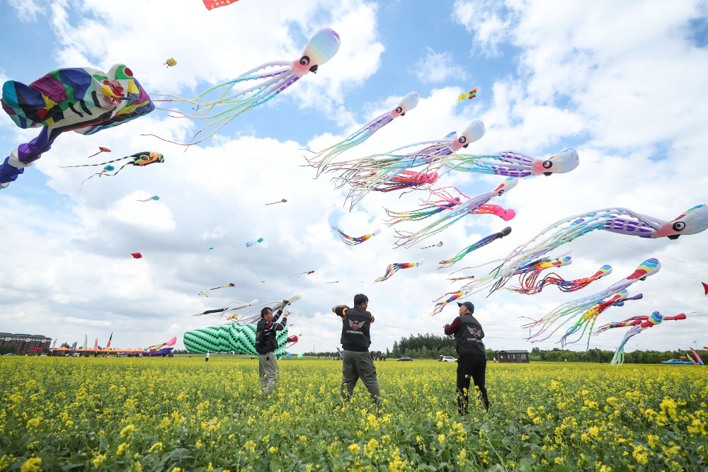 辽宁康平:卧龙湖畔放纸鸢