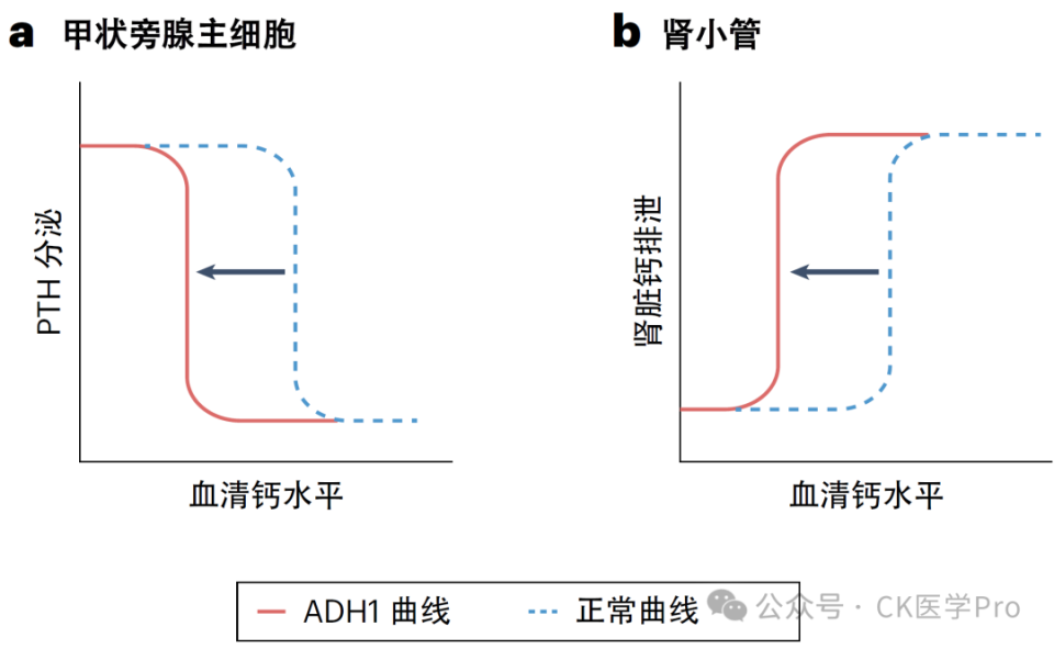 电子输注泵起什么作用临床综述 l 2025甲状旁腺功能减退症：诊断、管理与新兴疗法_https://www.jmylbn.com_新闻资讯_第4张