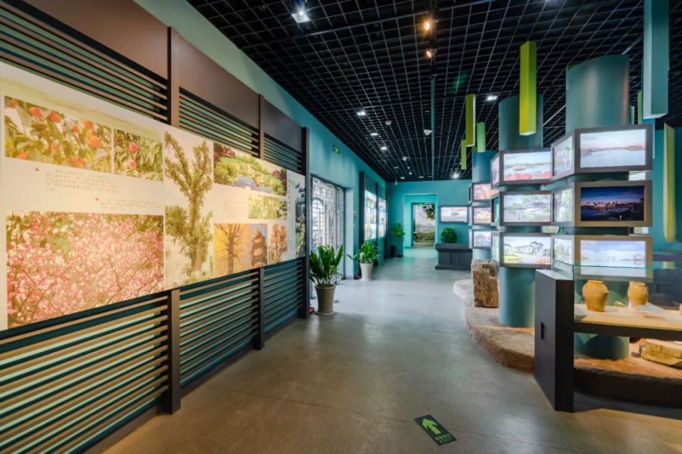 南通濠河博物馆志愿者招募