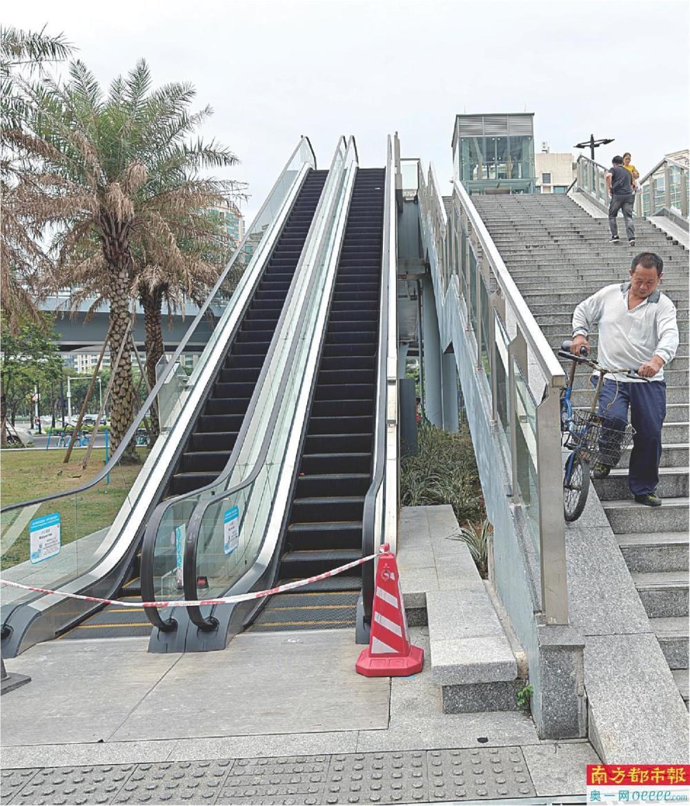 自动扶梯逾六成停摆垂直升降电梯运行良好