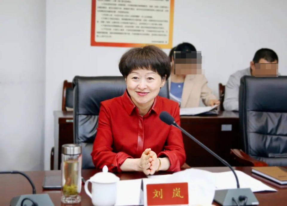 贵阳市副市长刘岚任上被查，曾在卫生系统任职_腾讯新闻