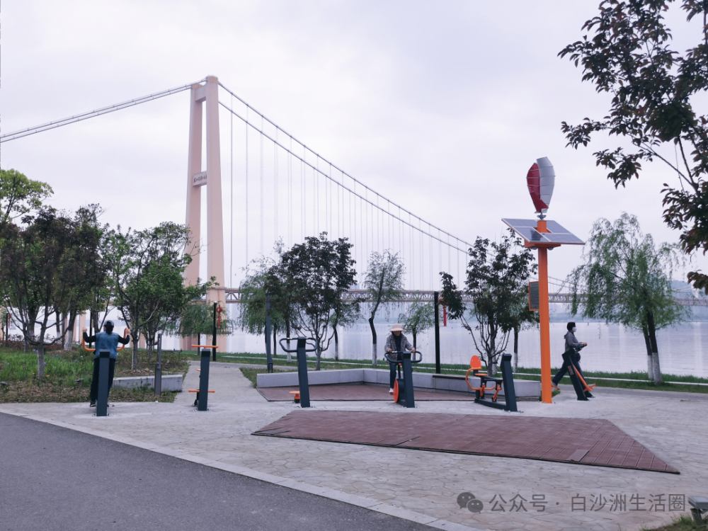 赶紧抓住春天的尾巴,来八铺街江滩赴一场浪漫