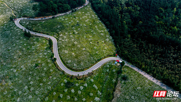 每日一图湖南靖州排牙山这个小众梨花海等你来撩