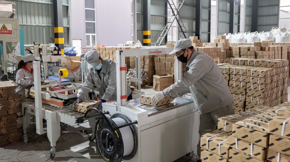 "它经济"观察|世界猫咪"爱"中国猫砂