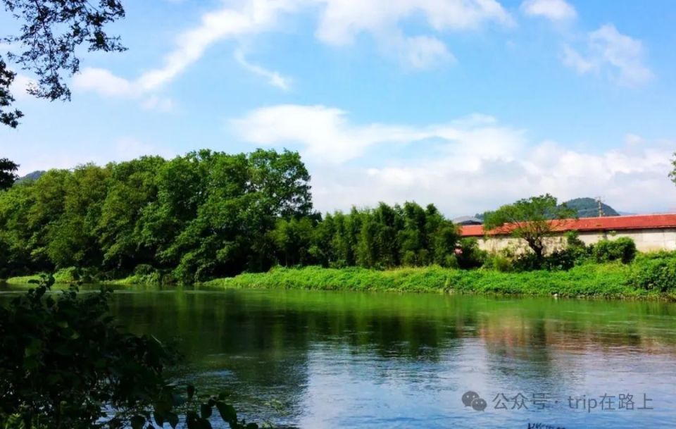 宁波版"绿野仙踪",太美了,在这里赏景,人生就不"卷"了