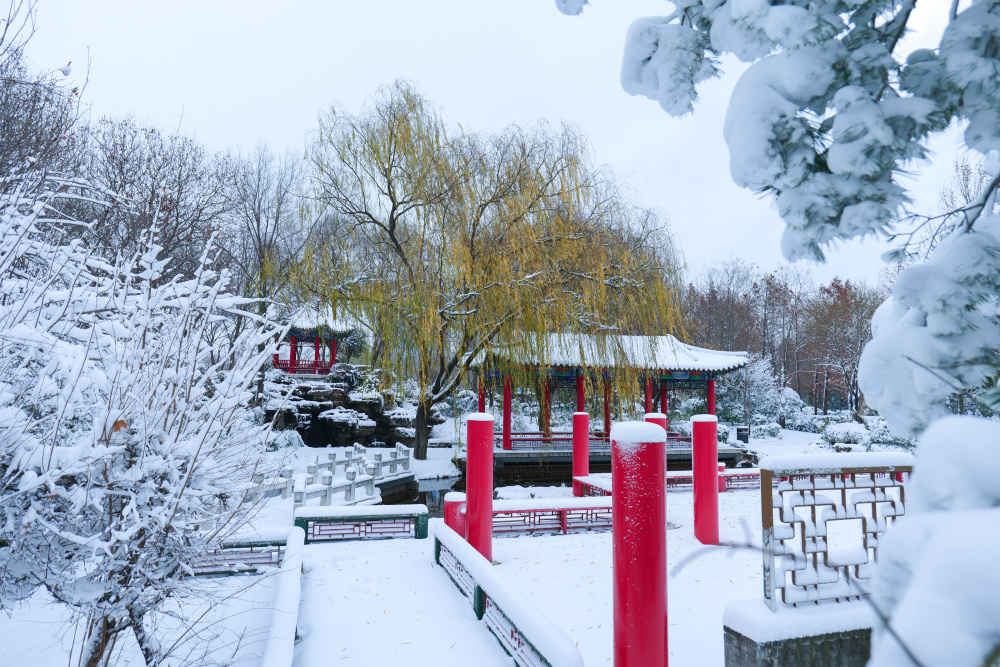 雪后的绿博园红装素裹 分外妖娆-腾讯新闻