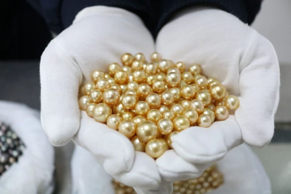 总价值约362万元人民币一跨境客车携带大量未申报珍珠被查