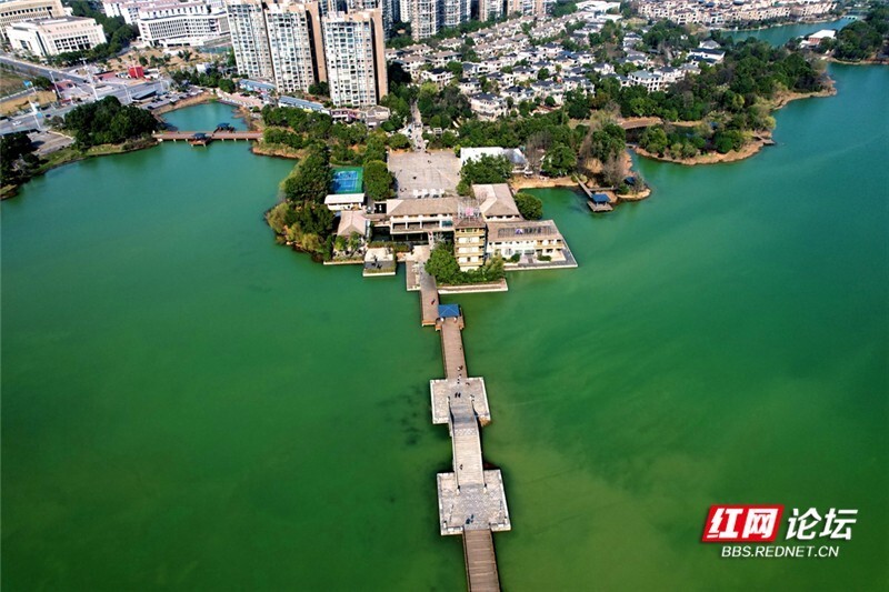 醉美踏春行丨春来碧水柳垂帘,航拍长沙月湖公园之春_腾讯新闻