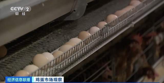 3月份全国鸡蛋价格上涨，批发价每公斤超10元