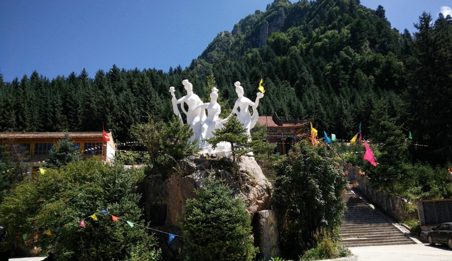 图片