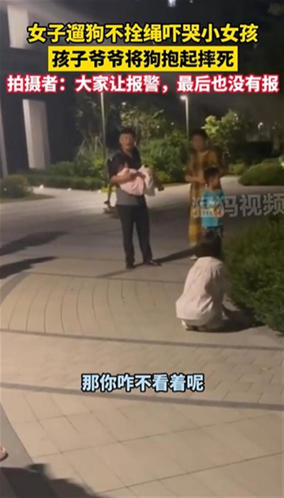 宠物狗不牵绳吓哭小孩被摔死，不能闹出事来才想起文明养狗_腾讯新闻