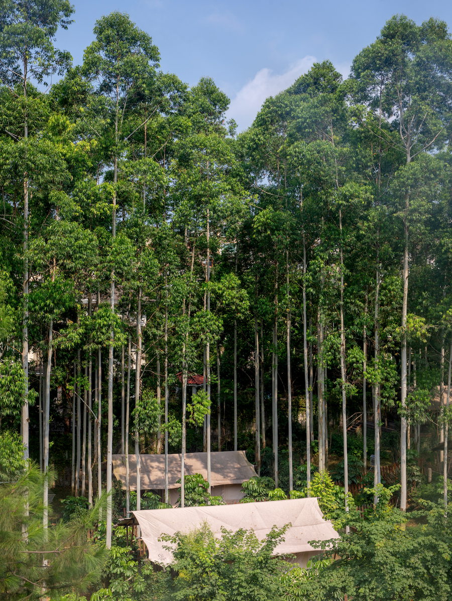 全省唯一花都北迹露营1号营地上榜