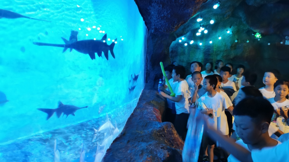 宁波海洋世界还可以和海底生物来一次近距离接触哦少年们不仅可以踏浪