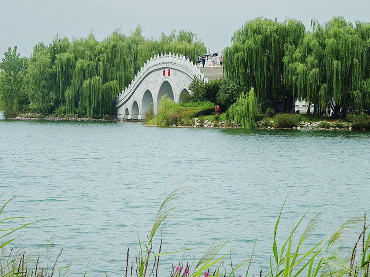 "秋意"(14) | 上游主题摄影征稿作品展——王毛键作品