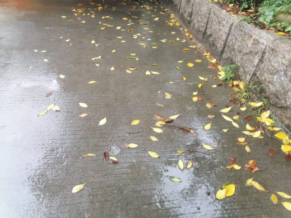 下雨天,洒水车还洒水作业?南安环卫公司回应了!