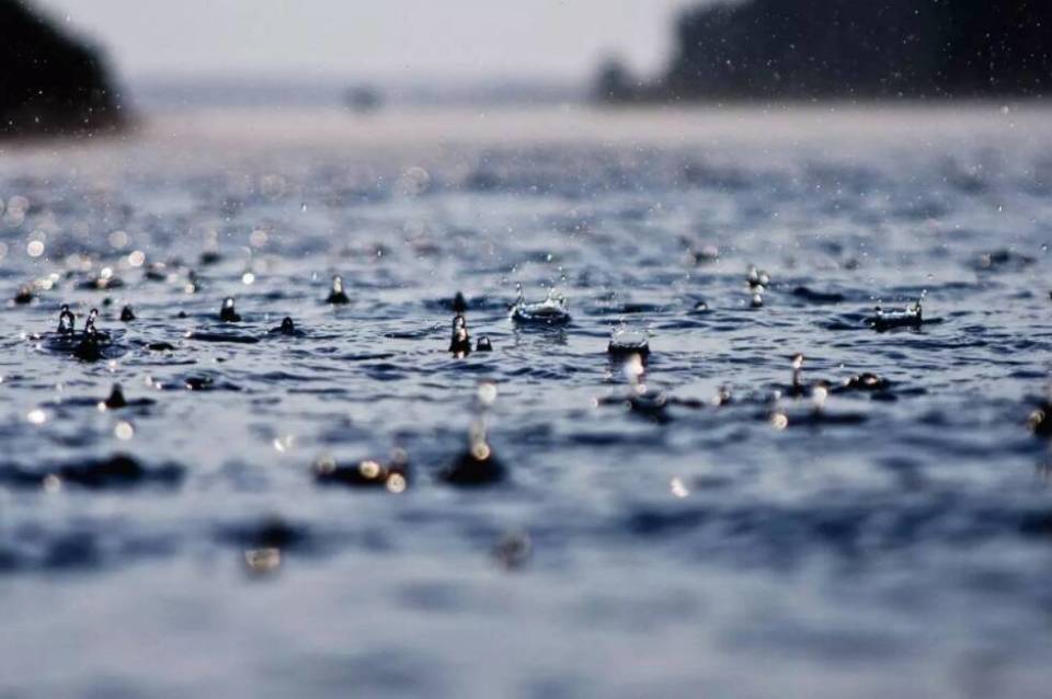 夏天的雨照片图片