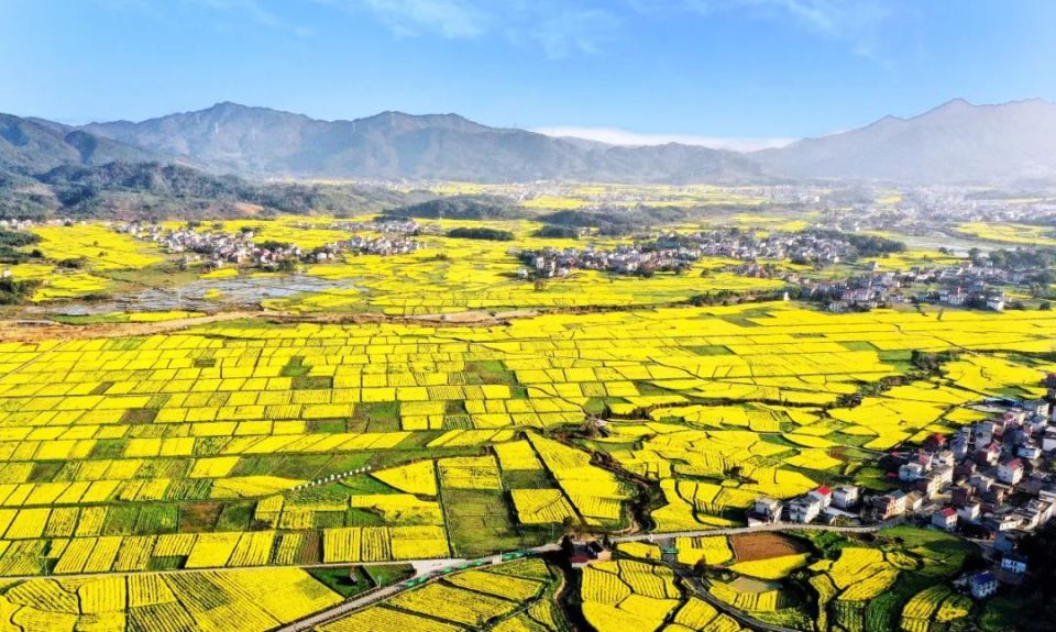 央媒省媒看萍乡丨看萍乡这一产业凭何"超车"?_腾讯新闻