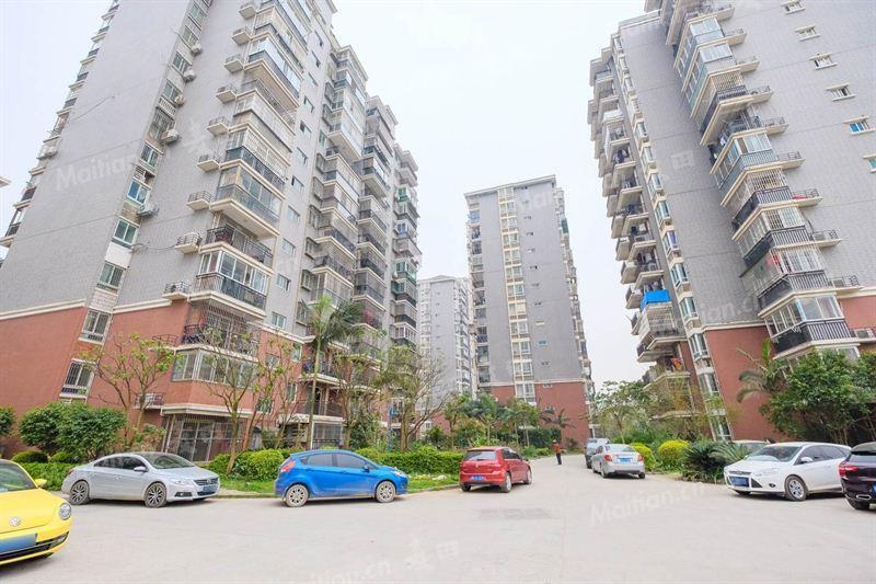 福湾新城安置房,"手枪"户型,能卖出去还需看价格