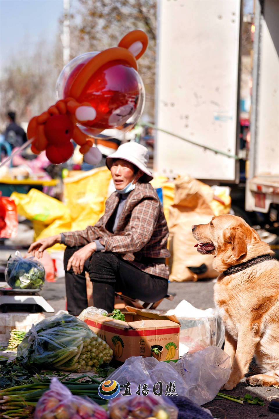 日照新发地大集开市