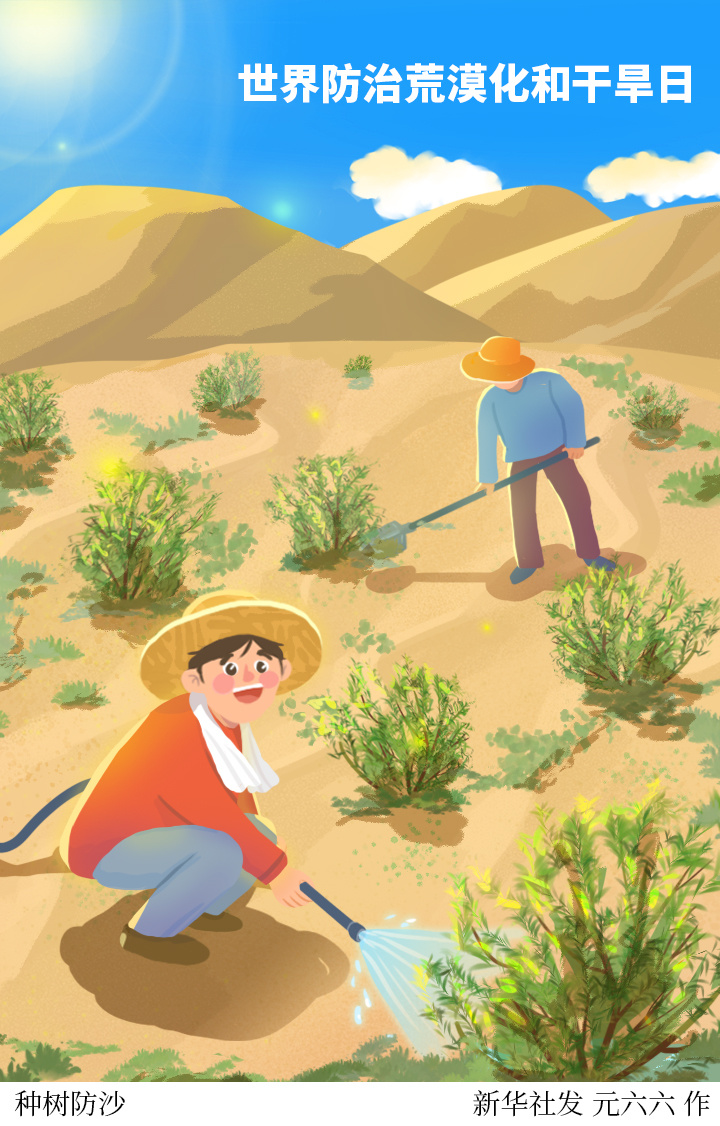 (图表·插画)[世界防治荒漠化和干旱日]种树防沙