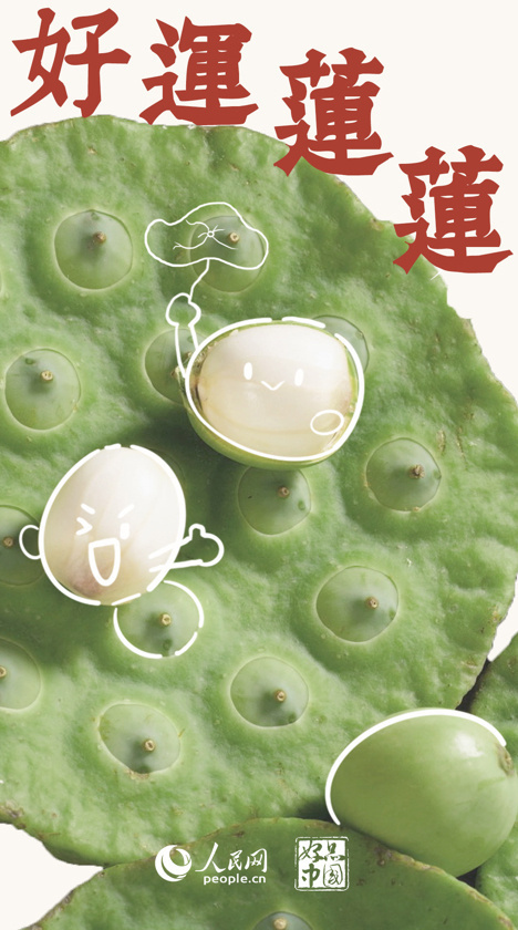 "江南可采莲,莲叶何田田""竹喧归浣女,莲动下渔舟""出淤泥而不染,濯