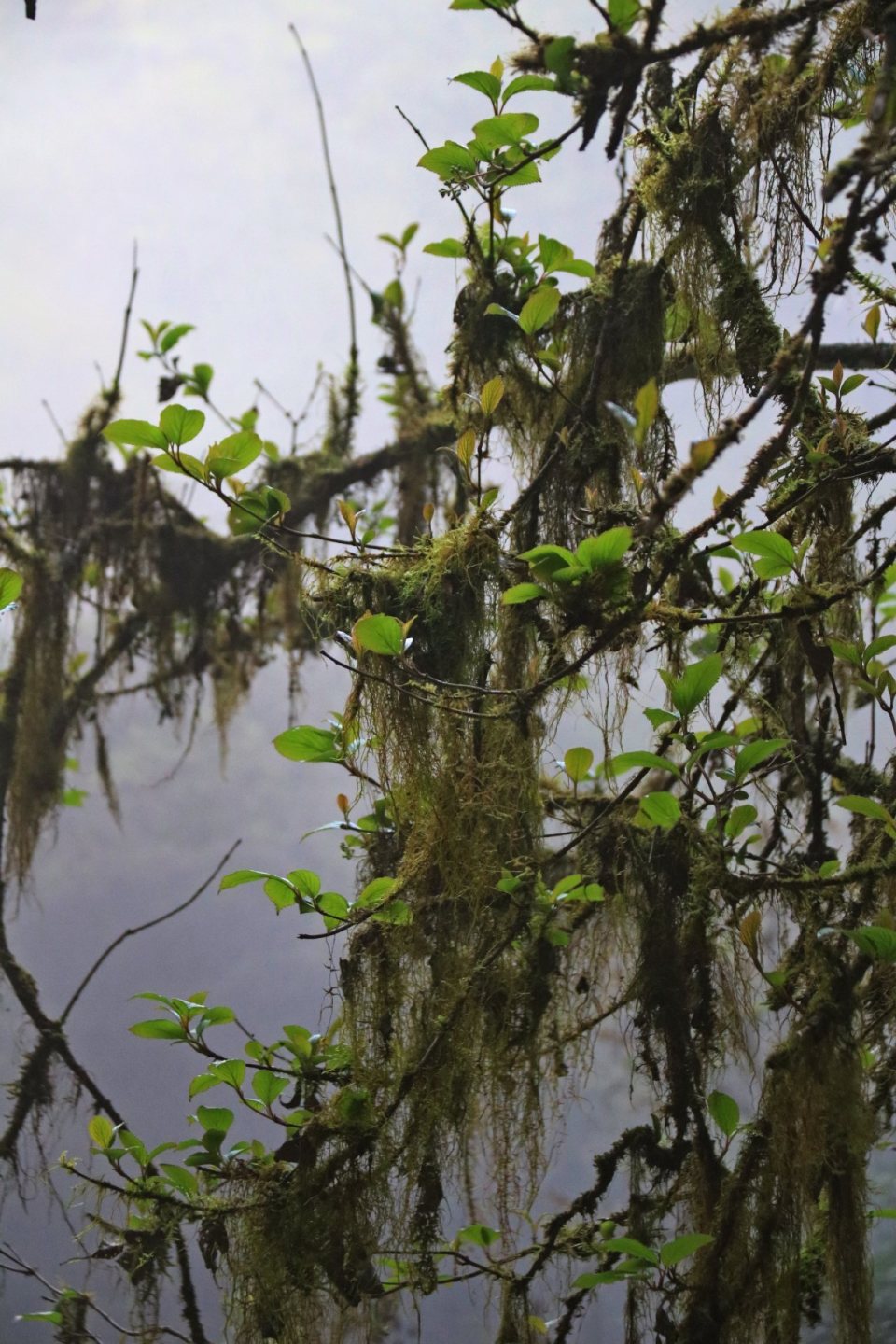 藏在川陕交界处,西安出发一天打来回_腾讯新闻