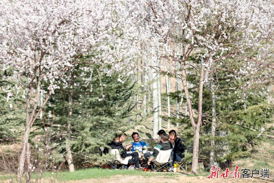 3月28日,游客在兰州市安宁区仁寿山生态文化旅游景区桃花园里拍照赏花