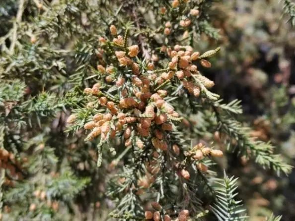 看一眼就浑身难受!