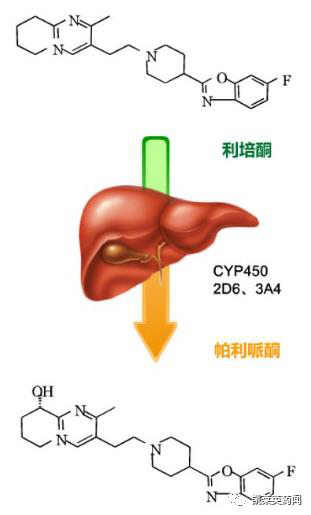 ly03010是帕利哌酮的长效注射剂,每月给药一次.