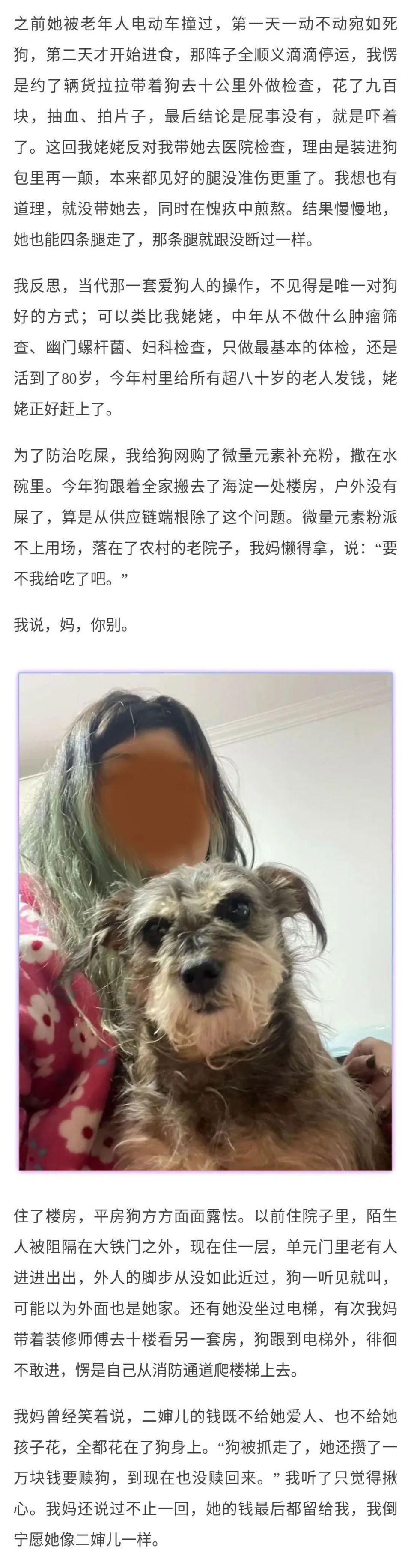 狗娘养的图片图片