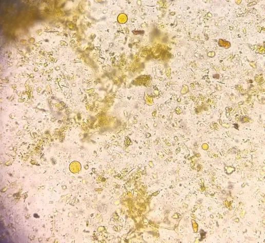 众里寻他千百度那人却在灯火阑珊处