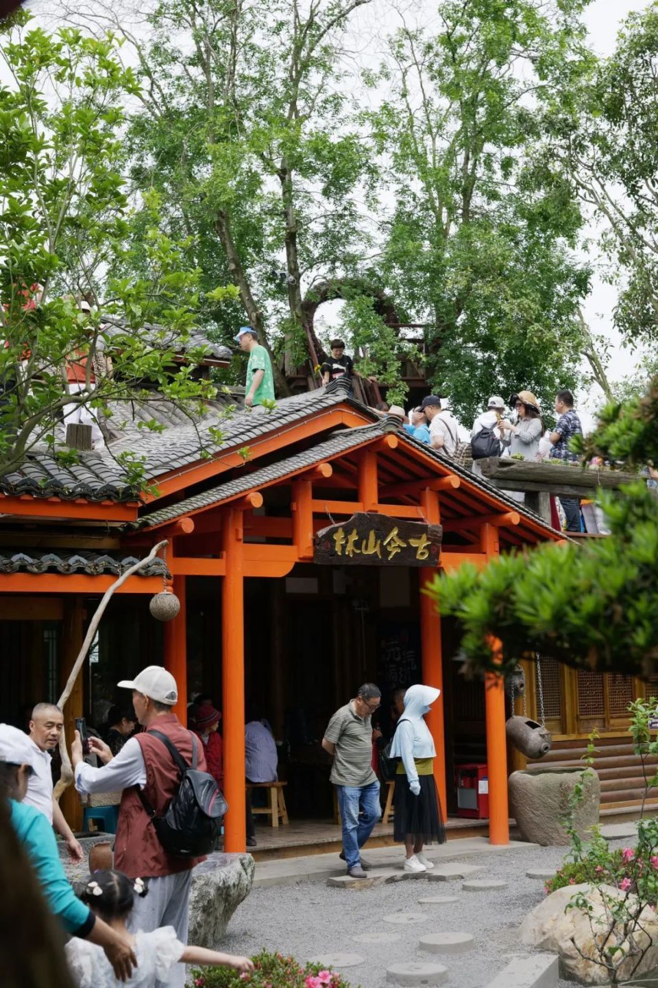 可以漫步的"房顶",满足了想要"上房揭瓦"的心;湖