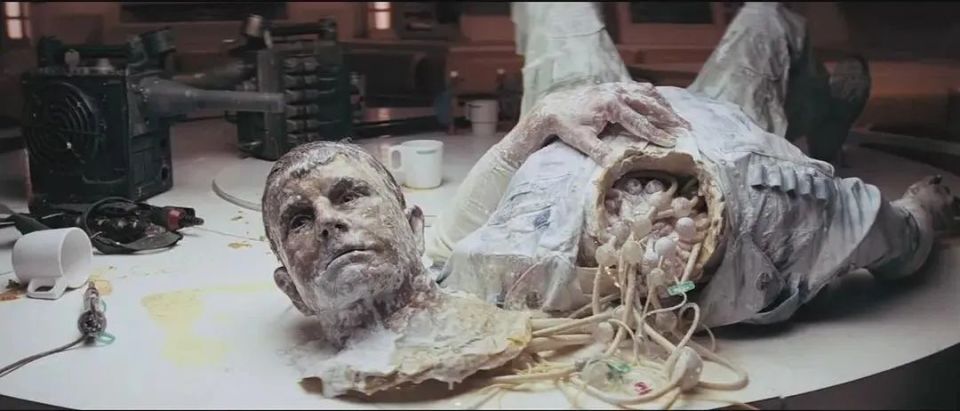 看过《异形1》的小伙伴会认出来,鲁克的外表与《异形1》中的生化人