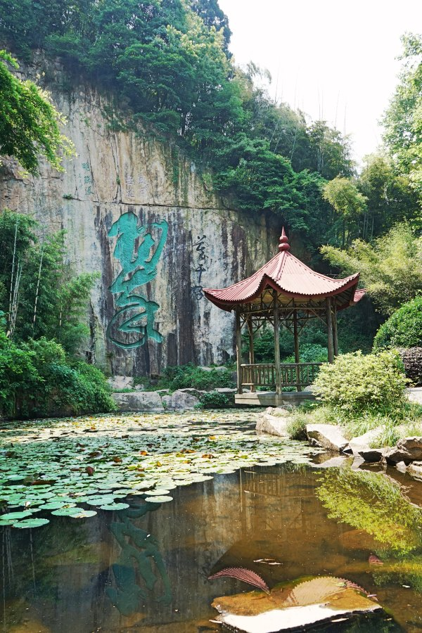 欢迎大家来到浙江省湖州市德清县"莫干山风景区"
