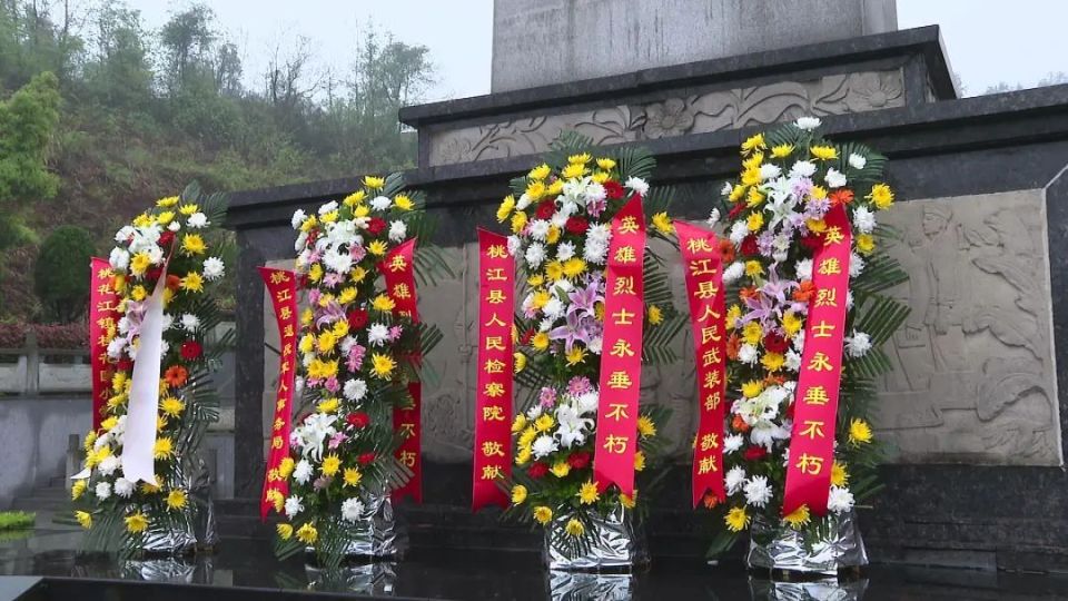清明祭英烈 桃江举行向烈士敬献花篮仪式