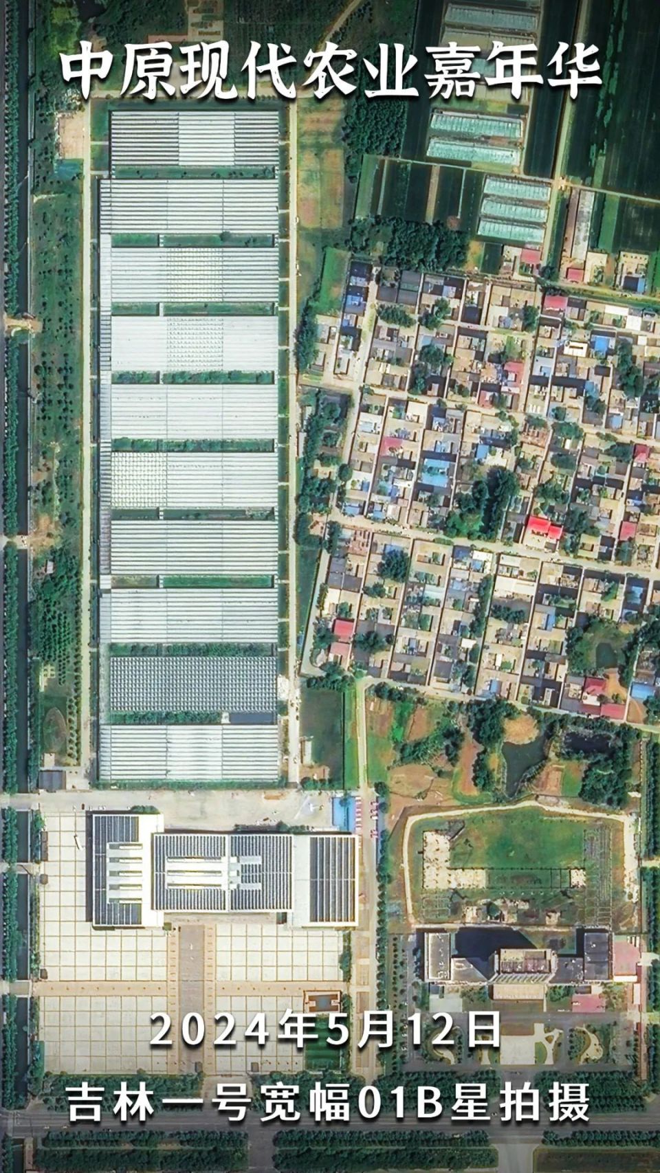 地理趣闻-同字不同音【莘】——莘庄&莘县,你会读吗?