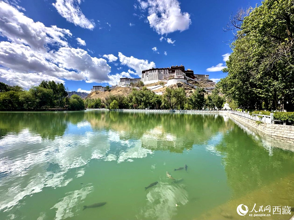 西藏拉萨:宗角禄康公园夏日美景