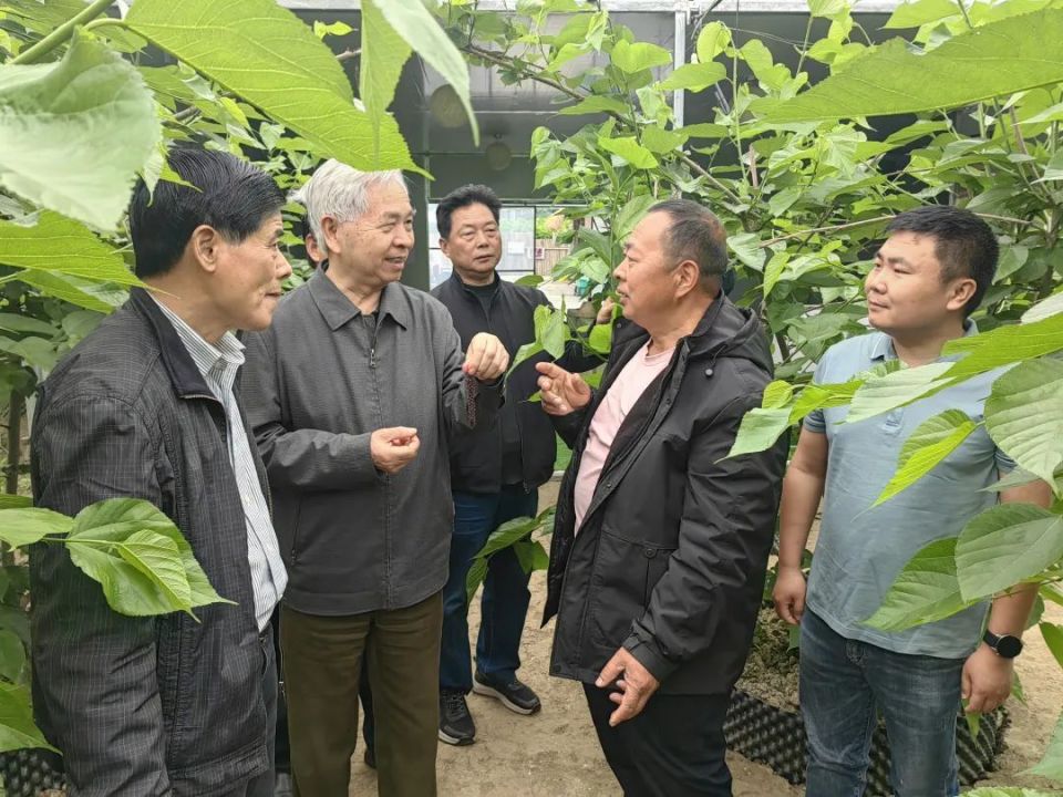 为周建国排忧解难的,正是来自区农业推广基金会组织的专家团队.