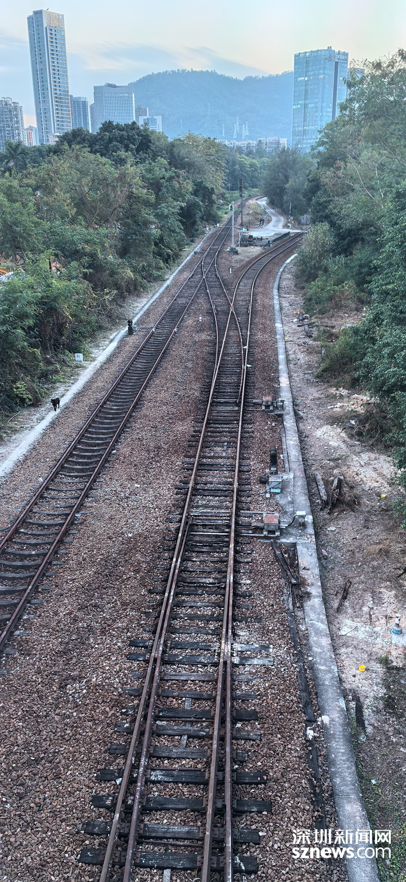 拍摄于2025年12月15日