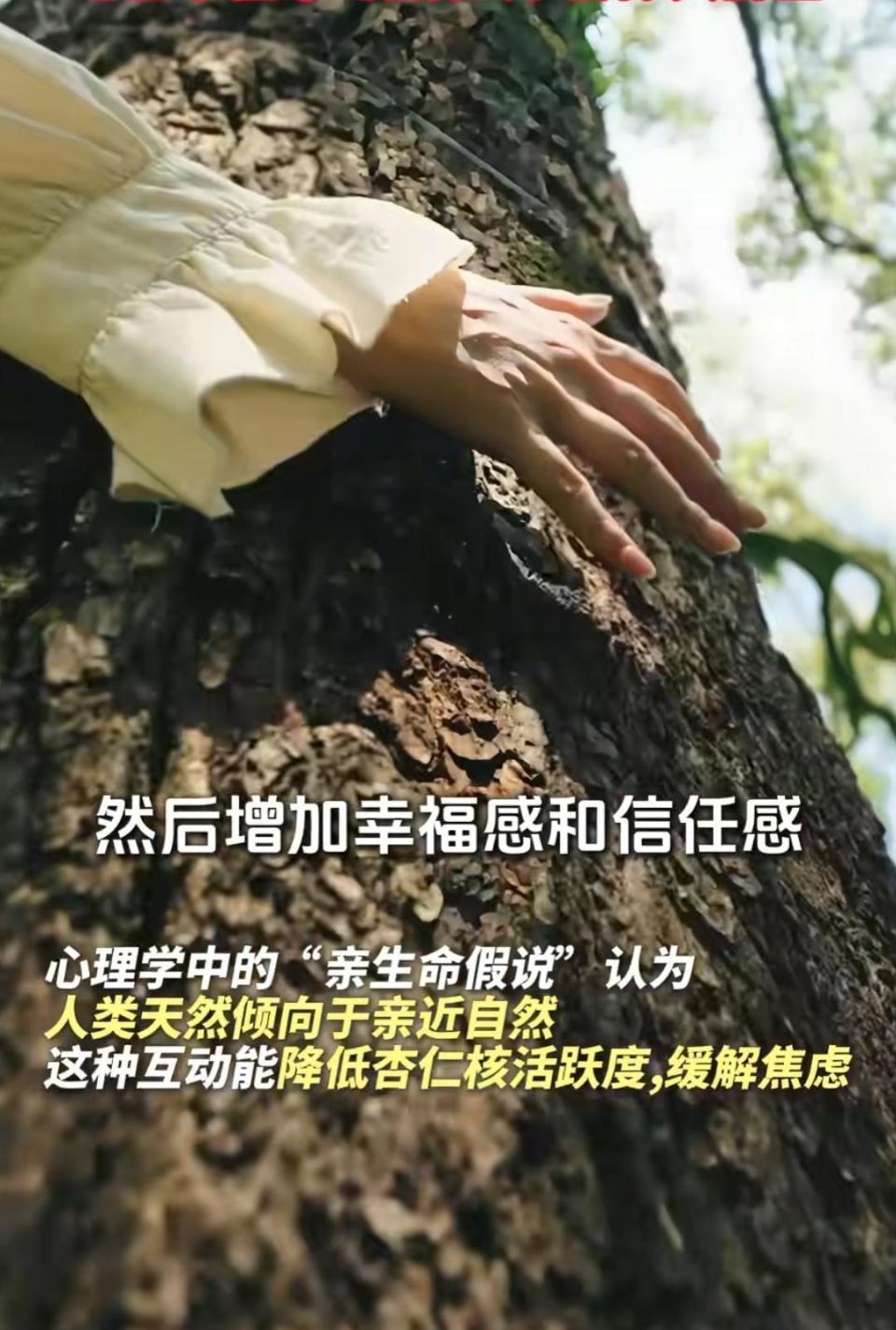 拥抱大树，治愈心灵：第48个植树节掀起“抱树疗愈”新风潮｜鱼眼·观察_腾讯新闻