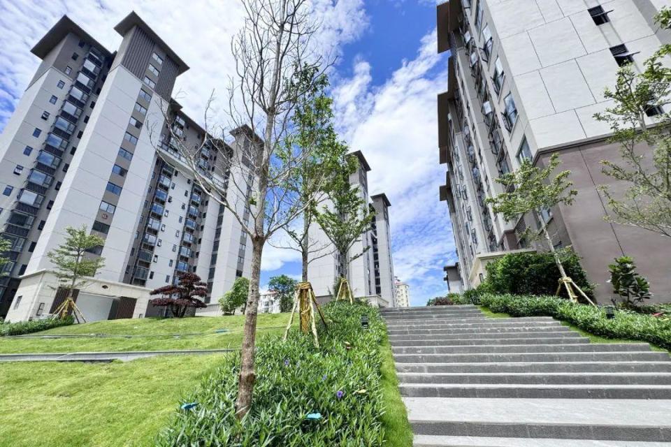 6字头,100%产权,全省可买!海南这个安居房,卷疯了