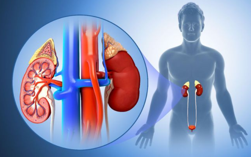 为什么一到冬天就尿频?