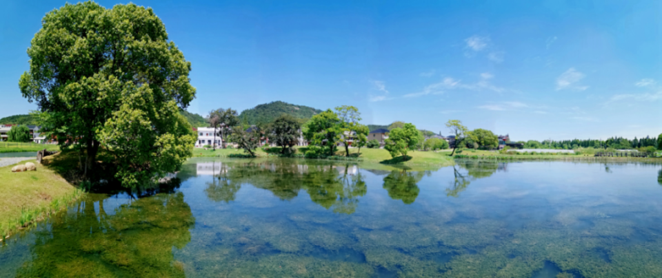 会发现独属于你的风景在环湖木栈道上行走连接湿地内各个小岛木栈道全