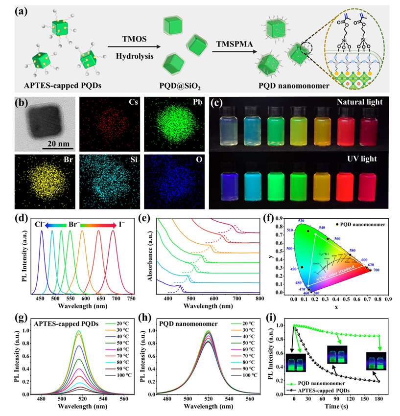 天津大学封伟/王玲团队angew:圆偏振发光动态可调控钙