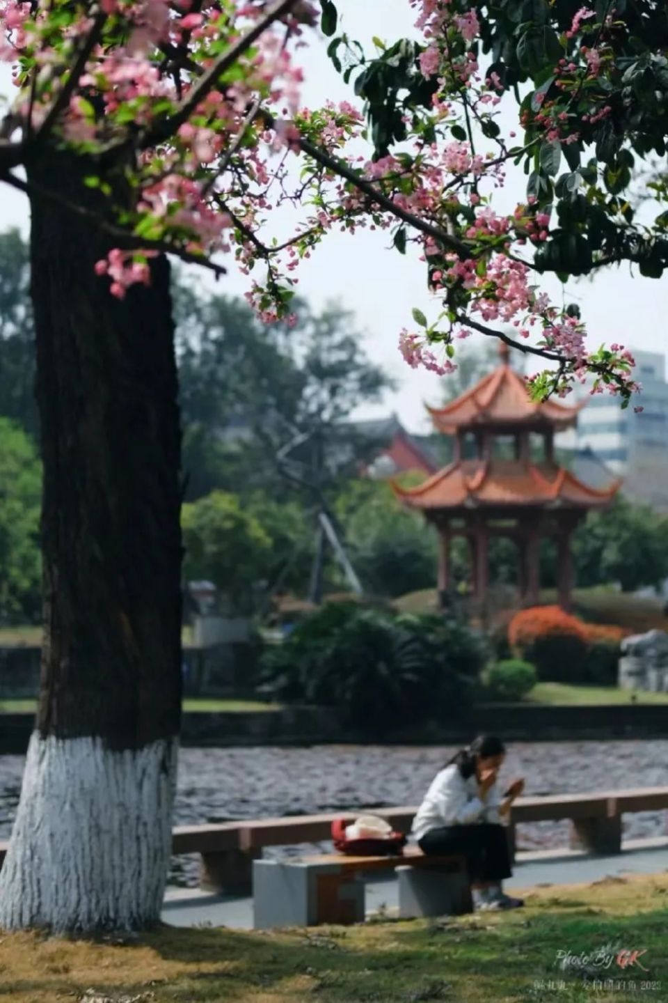 今天,我来到了川大.