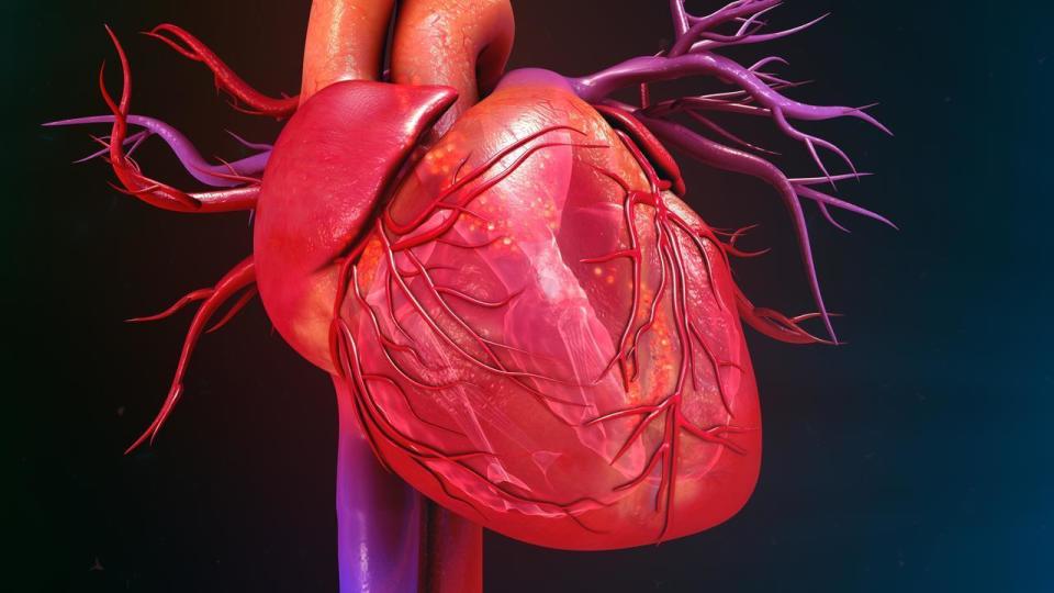 一般而言,心脏健康的人会有7个共同特征,若你能有3个,值得庆祝
