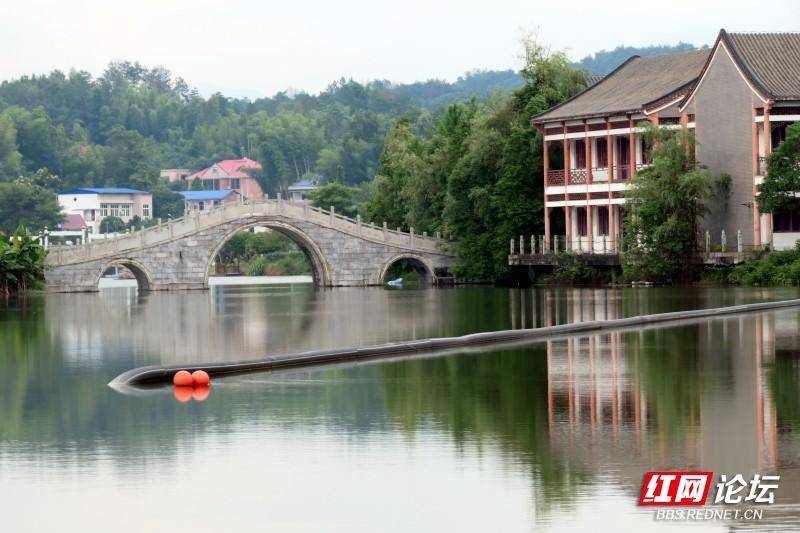 打卡长沙县"小西湖",绿树成荫,鸟语花香_腾讯新闻
