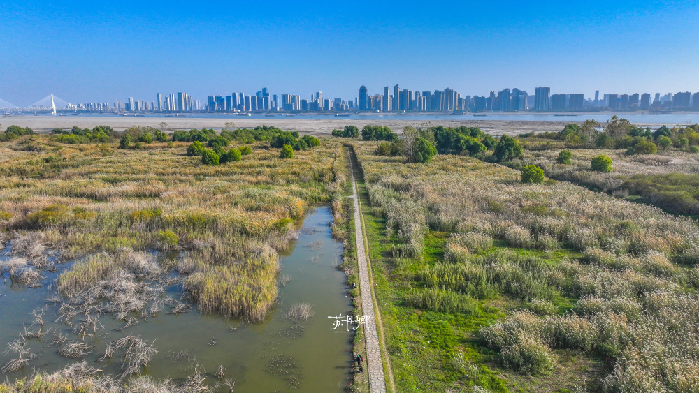武汉限定仅比澳门小69平方公里的天兴洲一半沙漠一半海水