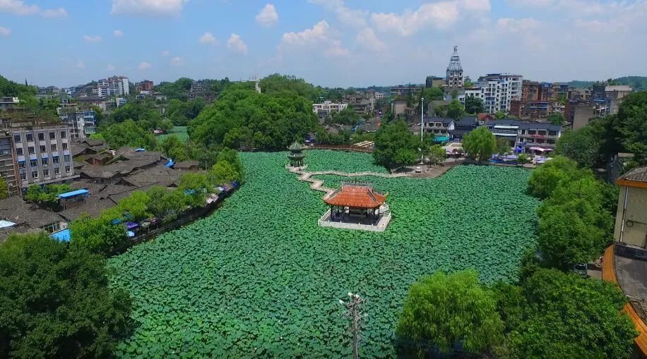 aaaa景区,滨江路city walk——中午品味美食豆花饭——下午马安农场