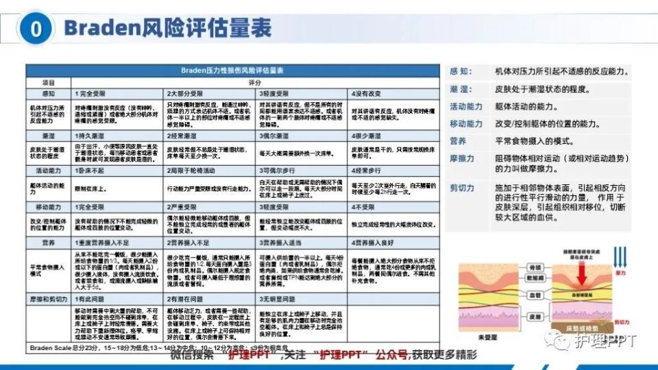 Braden评分法图片